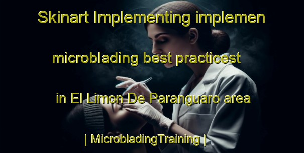 Skinart Implementing implemen microblading best practicest in El Limon De Paranguaro area | MicrobladingTraining | MicrobladingClasses | SkinartTraining-Mexico